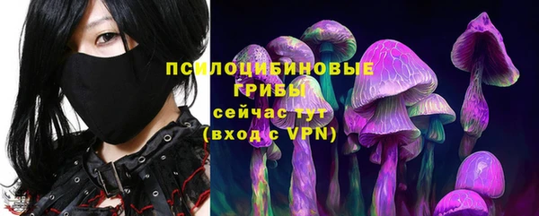 круглые Алексеевка